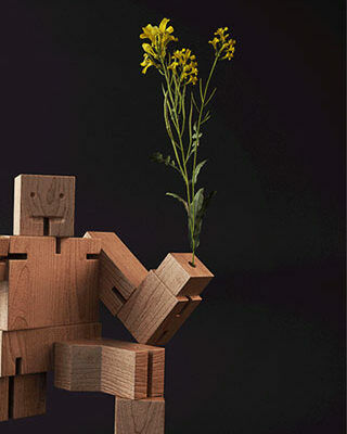 Industrial design in woods, 3D design