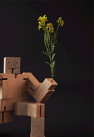 Industrial design in woods, 3D design