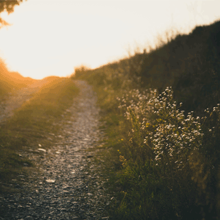 Path in nature, indecision of the way to choose