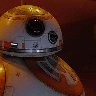 Form before function