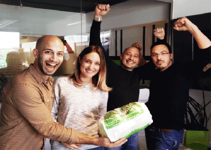 Egg drop at Switch, digital and brand agency in Malta, Team 1: Tom, Melissa, Mike and Bre