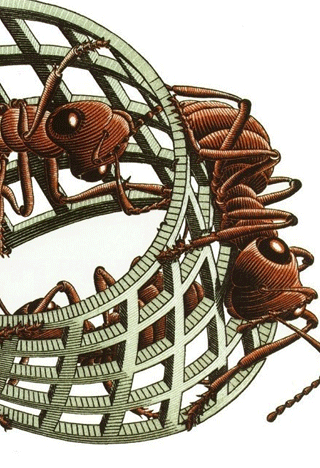 Rethinking topology