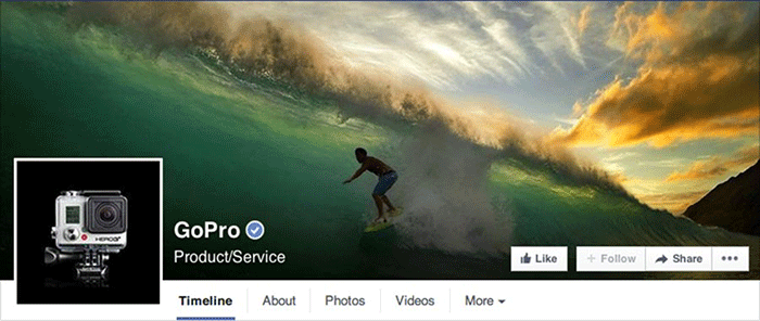 Facebook Page Gopro