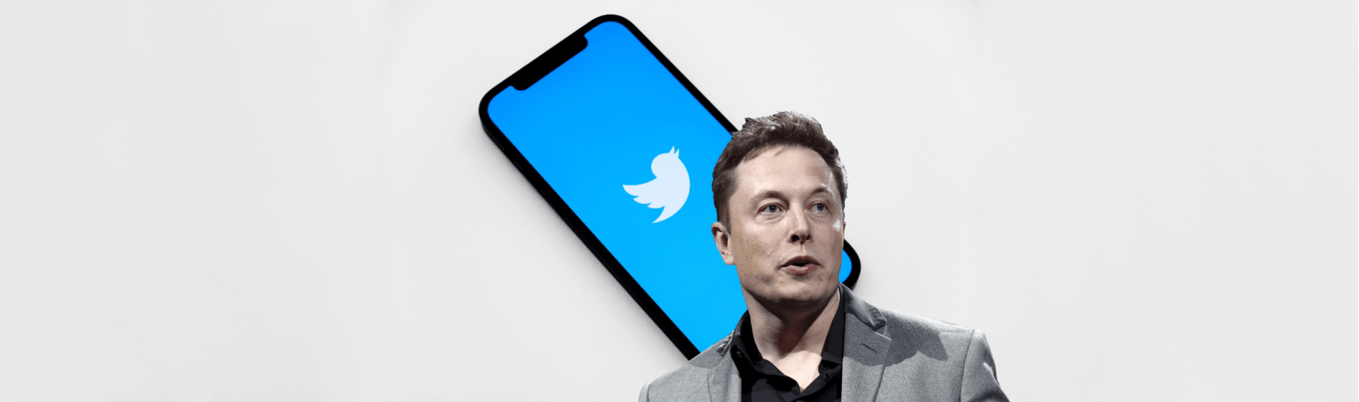 Coping with divisive news. Or, how the Elon/Twitter debacle had us all in a twist.